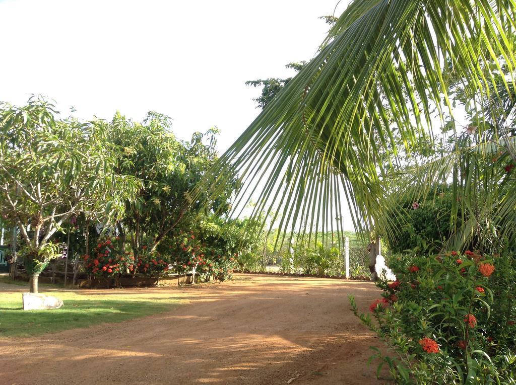 Lagoon Inn Hambantota Exterior foto